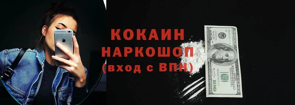 индика Армянск