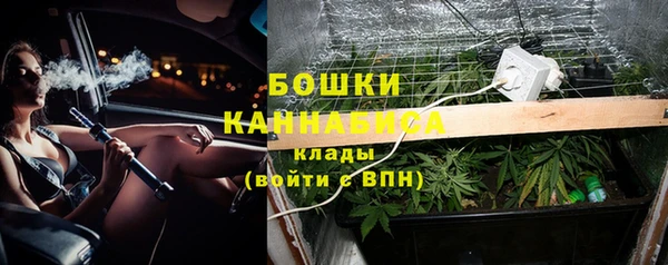 индика Армянск