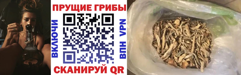 Галлюциногенные грибы Psilocybe  darknet телеграм  Тавда 